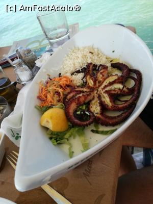 [P23] Grilled octopus - mmm!  » foto by raducondurache
 - 
<span class="allrVoted glyphicon glyphicon-heart hidden" id="av889602"></span>
<a class="m-l-10 hidden" id="sv889602" onclick="voting_Foto_DelVot(,889602,22487)" role="button">șterge vot <span class="glyphicon glyphicon-remove"></span></a>
<a id="v9889602" class=" c-red"  onclick="voting_Foto_SetVot(889602)" role="button"><span class="glyphicon glyphicon-heart-empty"></span> <b>LIKE</b> = Votează poza</a> <img class="hidden"  id="f889602W9" src="/imagini/loader.gif" border="0" /><span class="AjErrMes hidden" id="e889602ErM"></span>
