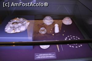 [P11] Varna, Muzeul de Arheologie, Ofrande din a doua jumătate a  mileniului 5 î.Hr. » foto by mprofeanu
 - 
<span class="allrVoted glyphicon glyphicon-heart hidden" id="av1216044"></span>
<a class="m-l-10 hidden" id="sv1216044" onclick="voting_Foto_DelVot(,1216044,22501)" role="button">șterge vot <span class="glyphicon glyphicon-remove"></span></a>
<a id="v91216044" class=" c-red"  onclick="voting_Foto_SetVot(1216044)" role="button"><span class="glyphicon glyphicon-heart-empty"></span> <b>LIKE</b> = Votează poza</a> <img class="hidden"  id="f1216044W9" src="/imagini/loader.gif" border="0" /><span class="AjErrMes hidden" id="e1216044ErM"></span>