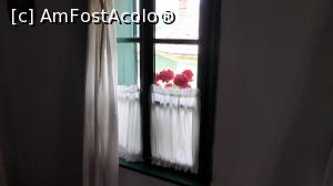 [P16] O fereastră (originală din sec. XIX) cu mușcate roșii și pedeluțe tradiționale la Casa Zabos » foto by Lucien
 - 
<span class="allrVoted glyphicon glyphicon-heart hidden" id="av890415"></span>
<a class="m-l-10 hidden" id="sv890415" onclick="voting_Foto_DelVot(,890415,22515)" role="button">șterge vot <span class="glyphicon glyphicon-remove"></span></a>
<a id="v9890415" class=" c-red"  onclick="voting_Foto_SetVot(890415)" role="button"><span class="glyphicon glyphicon-heart-empty"></span> <b>LIKE</b> = Votează poza</a> <img class="hidden"  id="f890415W9" src="/imagini/loader.gif" border="0" /><span class="AjErrMes hidden" id="e890415ErM"></span>