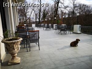 [P04] Terasa exterioară a restaurantului » foto by crismis
 - 
<span class="allrVoted glyphicon glyphicon-heart hidden" id="av1278546"></span>
<a class="m-l-10 hidden" id="sv1278546" onclick="voting_Foto_DelVot(,1278546,22516)" role="button">șterge vot <span class="glyphicon glyphicon-remove"></span></a>
<a id="v91278546" class=" c-red"  onclick="voting_Foto_SetVot(1278546)" role="button"><span class="glyphicon glyphicon-heart-empty"></span> <b>LIKE</b> = Votează poza</a> <img class="hidden"  id="f1278546W9" src="/imagini/loader.gif" border="0" /><span class="AjErrMes hidden" id="e1278546ErM"></span>