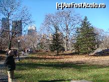 [P06] Central Park » foto by ionel64
 - 
<span class="allrVoted glyphicon glyphicon-heart hidden" id="av489896"></span>
<a class="m-l-10 hidden" id="sv489896" onclick="voting_Foto_DelVot(,489896,22539)" role="button">șterge vot <span class="glyphicon glyphicon-remove"></span></a>
<a id="v9489896" class=" c-red"  onclick="voting_Foto_SetVot(489896)" role="button"><span class="glyphicon glyphicon-heart-empty"></span> <b>LIKE</b> = Votează poza</a> <img class="hidden"  id="f489896W9" src="/imagini/loader.gif" border="0" /><span class="AjErrMes hidden" id="e489896ErM"></span>