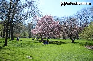 [P17] Central Park la sfarsit de aprilie » foto by graclari
 - 
<span class="allrVoted glyphicon glyphicon-heart hidden" id="av615698"></span>
<a class="m-l-10 hidden" id="sv615698" onclick="voting_Foto_DelVot(,615698,22539)" role="button">șterge vot <span class="glyphicon glyphicon-remove"></span></a>
<a id="v9615698" class=" c-red"  onclick="voting_Foto_SetVot(615698)" role="button"><span class="glyphicon glyphicon-heart-empty"></span> <b>LIKE</b> = Votează poza</a> <img class="hidden"  id="f615698W9" src="/imagini/loader.gif" border="0" /><span class="AjErrMes hidden" id="e615698ErM"></span>