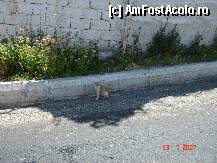 [P123]  -- <small>// FĂRĂ DESCRIERE</small> » foto by travoice
 - 
<span class="allrVoted glyphicon glyphicon-heart hidden" id="av200901"></span>
<a class="m-l-10 hidden" id="sv200901" onclick="voting_Foto_DelVot(,200901,22561)" role="button">șterge vot <span class="glyphicon glyphicon-remove"></span></a>
<a id="v9200901" class=" c-red"  onclick="voting_Foto_SetVot(200901)" role="button"><span class="glyphicon glyphicon-heart-empty"></span> <b>LIKE</b> = Votează poza</a> <img class="hidden"  id="f200901W9" src="/imagini/loader.gif" border="0" /><span class="AjErrMes hidden" id="e200901ErM"></span>