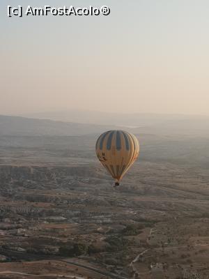 [P16] balon stingher în zorii zilei » foto by silvia tudoran
 - 
<span class="allrVoted glyphicon glyphicon-heart hidden" id="av1122794"></span>
<a class="m-l-10 hidden" id="sv1122794" onclick="voting_Foto_DelVot(,1122794,22561)" role="button">șterge vot <span class="glyphicon glyphicon-remove"></span></a>
<a id="v91122794" class=" c-red"  onclick="voting_Foto_SetVot(1122794)" role="button"><span class="glyphicon glyphicon-heart-empty"></span> <b>LIKE</b> = Votează poza</a> <img class="hidden"  id="f1122794W9" src="/imagini/loader.gif" border="0" /><span class="AjErrMes hidden" id="e1122794ErM"></span>