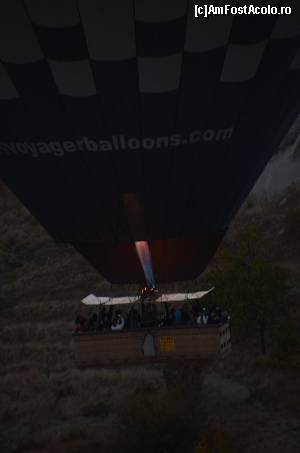 [P13] Balonul standard, cel mare » foto by cristina65
 - 
<span class="allrVoted glyphicon glyphicon-heart hidden" id="av597537"></span>
<a class="m-l-10 hidden" id="sv597537" onclick="voting_Foto_DelVot(,597537,22561)" role="button">șterge vot <span class="glyphicon glyphicon-remove"></span></a>
<a id="v9597537" class=" c-red"  onclick="voting_Foto_SetVot(597537)" role="button"><span class="glyphicon glyphicon-heart-empty"></span> <b>LIKE</b> = Votează poza</a> <img class="hidden"  id="f597537W9" src="/imagini/loader.gif" border="0" /><span class="AjErrMes hidden" id="e597537ErM"></span>