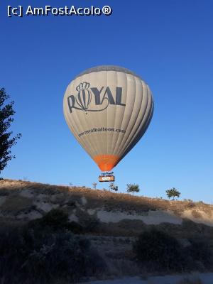[P10]  -- <small>// FĂRĂ DESCRIERE</small> » foto by nrs †
 - 
<span class="allrVoted glyphicon glyphicon-heart hidden" id="av1010313"></span>
<a class="m-l-10 hidden" id="sv1010313" onclick="voting_Foto_DelVot(,1010313,22561)" role="button">șterge vot <span class="glyphicon glyphicon-remove"></span></a>
<a id="v91010313" class=" c-red"  onclick="voting_Foto_SetVot(1010313)" role="button"><span class="glyphicon glyphicon-heart-empty"></span> <b>LIKE</b> = Votează poza</a> <img class="hidden"  id="f1010313W9" src="/imagini/loader.gif" border="0" /><span class="AjErrMes hidden" id="e1010313ErM"></span>