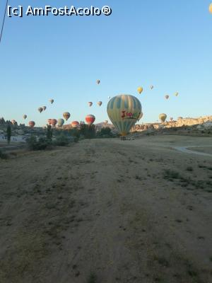 [P15]  -- <small>// FĂRĂ DESCRIERE</small> » foto by nrs †
 - 
<span class="allrVoted glyphicon glyphicon-heart hidden" id="av1010318"></span>
<a class="m-l-10 hidden" id="sv1010318" onclick="voting_Foto_DelVot(,1010318,22561)" role="button">șterge vot <span class="glyphicon glyphicon-remove"></span></a>
<a id="v91010318" class=" c-red"  onclick="voting_Foto_SetVot(1010318)" role="button"><span class="glyphicon glyphicon-heart-empty"></span> <b>LIKE</b> = Votează poza</a> <img class="hidden"  id="f1010318W9" src="/imagini/loader.gif" border="0" /><span class="AjErrMes hidden" id="e1010318ErM"></span>