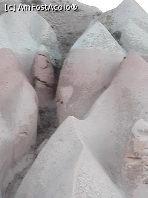 [P05]  -- <small>// FĂRĂ DESCRIERE</small> » foto by nrs †
 - 
<span class="allrVoted glyphicon glyphicon-heart hidden" id="av1010308"></span>
<a class="m-l-10 hidden" id="sv1010308" onclick="voting_Foto_DelVot(,1010308,22561)" role="button">șterge vot <span class="glyphicon glyphicon-remove"></span></a>
<a id="v91010308" class=" c-red"  onclick="voting_Foto_SetVot(1010308)" role="button"><span class="glyphicon glyphicon-heart-empty"></span> <b>LIKE</b> = Votează poza</a> <img class="hidden"  id="f1010308W9" src="/imagini/loader.gif" border="0" /><span class="AjErrMes hidden" id="e1010308ErM"></span>