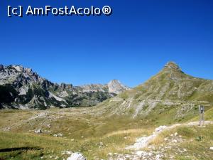 [P01] zona Pasului Sedlo » foto by Testosu'
 - 
<span class="allrVoted glyphicon glyphicon-heart hidden" id="av895155"></span>
<a class="m-l-10 hidden" id="sv895155" onclick="voting_Foto_DelVot(,895155,22570)" role="button">șterge vot <span class="glyphicon glyphicon-remove"></span></a>
<a id="v9895155" class=" c-red"  onclick="voting_Foto_SetVot(895155)" role="button"><span class="glyphicon glyphicon-heart-empty"></span> <b>LIKE</b> = Votează poza</a> <img class="hidden"  id="f895155W9" src="/imagini/loader.gif" border="0" /><span class="AjErrMes hidden" id="e895155ErM"></span>
