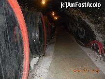 [P16] Crama Ţelna - pe a doua latură, după 3 butoaie clasice, vin recipienţii din fibră de sticlă. » foto by creivean
 - 
<span class="allrVoted glyphicon glyphicon-heart hidden" id="av266942"></span>
<a class="m-l-10 hidden" id="sv266942" onclick="voting_Foto_DelVot(,266942,22584)" role="button">șterge vot <span class="glyphicon glyphicon-remove"></span></a>
<a id="v9266942" class=" c-red"  onclick="voting_Foto_SetVot(266942)" role="button"><span class="glyphicon glyphicon-heart-empty"></span> <b>LIKE</b> = Votează poza</a> <img class="hidden"  id="f266942W9" src="/imagini/loader.gif" border="0" /><span class="AjErrMes hidden" id="e266942ErM"></span>