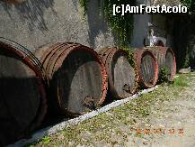 [P03] Crama Ţelna - butoaiele clasice la care s-a renunţat. » foto by creivean
 - 
<span class="allrVoted glyphicon glyphicon-heart hidden" id="av266929"></span>
<a class="m-l-10 hidden" id="sv266929" onclick="voting_Foto_DelVot(,266929,22584)" role="button">șterge vot <span class="glyphicon glyphicon-remove"></span></a>
<a id="v9266929" class=" c-red"  onclick="voting_Foto_SetVot(266929)" role="button"><span class="glyphicon glyphicon-heart-empty"></span> <b>LIKE</b> = Votează poza</a> <img class="hidden"  id="f266929W9" src="/imagini/loader.gif" border="0" /><span class="AjErrMes hidden" id="e266929ErM"></span>