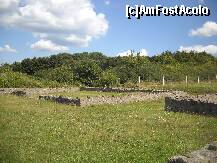 [P06] Ruine » foto by alina7laca
 - 
<span class="allrVoted glyphicon glyphicon-heart hidden" id="av242038"></span>
<a class="m-l-10 hidden" id="sv242038" onclick="voting_Foto_DelVot(,242038,22591)" role="button">șterge vot <span class="glyphicon glyphicon-remove"></span></a>
<a id="v9242038" class=" c-red"  onclick="voting_Foto_SetVot(242038)" role="button"><span class="glyphicon glyphicon-heart-empty"></span> <b>LIKE</b> = Votează poza</a> <img class="hidden"  id="f242038W9" src="/imagini/loader.gif" border="0" /><span class="AjErrMes hidden" id="e242038ErM"></span>