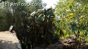 [P23] Cactus la iesirea din muzeu...  » foto by cristic66
 - 
<span class="allrVoted glyphicon glyphicon-heart hidden" id="av890935"></span>
<a class="m-l-10 hidden" id="sv890935" onclick="voting_Foto_DelVot(,890935,22593)" role="button">șterge vot <span class="glyphicon glyphicon-remove"></span></a>
<a id="v9890935" class=" c-red"  onclick="voting_Foto_SetVot(890935)" role="button"><span class="glyphicon glyphicon-heart-empty"></span> <b>LIKE</b> = Votează poza</a> <img class="hidden"  id="f890935W9" src="/imagini/loader.gif" border="0" /><span class="AjErrMes hidden" id="e890935ErM"></span>