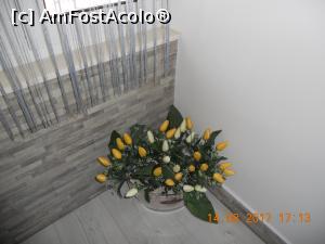 [P20] decorațiune din bucătărie » foto by zlatna
 - 
<span class="allrVoted glyphicon glyphicon-heart hidden" id="av895414"></span>
<a class="m-l-10 hidden" id="sv895414" onclick="voting_Foto_DelVot(,895414,22610)" role="button">șterge vot <span class="glyphicon glyphicon-remove"></span></a>
<a id="v9895414" class=" c-red"  onclick="voting_Foto_SetVot(895414)" role="button"><span class="glyphicon glyphicon-heart-empty"></span> <b>LIKE</b> = Votează poza</a> <img class="hidden"  id="f895414W9" src="/imagini/loader.gif" border="0" /><span class="AjErrMes hidden" id="e895414ErM"></span>