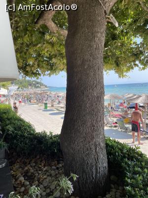 [P24] La umbra copacului moșneag, priveam marea » foto by krisstinna
 - 
<span class="allrVoted glyphicon glyphicon-heart hidden" id="av1320888"></span>
<a class="m-l-10 hidden" id="sv1320888" onclick="voting_Foto_DelVot(,1320888,22632)" role="button">șterge vot <span class="glyphicon glyphicon-remove"></span></a>
<a id="v91320888" class=" c-red"  onclick="voting_Foto_SetVot(1320888)" role="button"><span class="glyphicon glyphicon-heart-empty"></span> <b>LIKE</b> = Votează poza</a> <img class="hidden"  id="f1320888W9" src="/imagini/loader.gif" border="0" /><span class="AjErrMes hidden" id="e1320888ErM"></span>