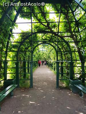 [P02] Un tunel de vegetatie » foto by DOINITA
 - 
<span class="allrVoted glyphicon glyphicon-heart hidden" id="av981675"></span>
<a class="m-l-10 hidden" id="sv981675" onclick="voting_Foto_DelVot(,981675,22636)" role="button">șterge vot <span class="glyphicon glyphicon-remove"></span></a>
<a id="v9981675" class=" c-red"  onclick="voting_Foto_SetVot(981675)" role="button"><span class="glyphicon glyphicon-heart-empty"></span> <b>LIKE</b> = Votează poza</a> <img class="hidden"  id="f981675W9" src="/imagini/loader.gif" border="0" /><span class="AjErrMes hidden" id="e981675ErM"></span>