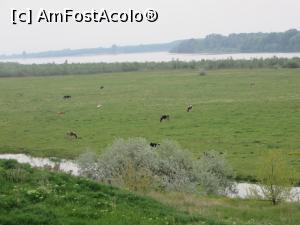 [P06] Fluviul la Siliștioara - Corabia.  » foto by tata123 🔱
 - 
<span class="allrVoted glyphicon glyphicon-heart hidden" id="av857748"></span>
<a class="m-l-10 hidden" id="sv857748" onclick="voting_Foto_DelVot(,857748,22666)" role="button">șterge vot <span class="glyphicon glyphicon-remove"></span></a>
<a id="v9857748" class=" c-red"  onclick="voting_Foto_SetVot(857748)" role="button"><span class="glyphicon glyphicon-heart-empty"></span> <b>LIKE</b> = Votează poza</a> <img class="hidden"  id="f857748W9" src="/imagini/loader.gif" border="0" /><span class="AjErrMes hidden" id="e857748ErM"></span>