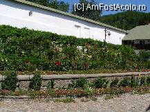 [P10] Flori superbe in curtea manastirii » foto by mario 110
 - 
<span class="allrVoted glyphicon glyphicon-heart hidden" id="av57716"></span>
<a class="m-l-10 hidden" id="sv57716" onclick="voting_Foto_DelVot(,57716,22678)" role="button">șterge vot <span class="glyphicon glyphicon-remove"></span></a>
<a id="v957716" class=" c-red"  onclick="voting_Foto_SetVot(57716)" role="button"><span class="glyphicon glyphicon-heart-empty"></span> <b>LIKE</b> = Votează poza</a> <img class="hidden"  id="f57716W9" src="/imagini/loader.gif" border="0" /><span class="AjErrMes hidden" id="e57716ErM"></span>