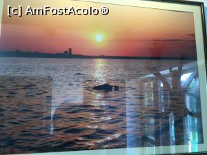 [P33] Pescaria lui Matei - facem o pauza motiv de a face poze si in interior » foto by mishu
 - 
<span class="allrVoted glyphicon glyphicon-heart hidden" id="av868232"></span>
<a class="m-l-10 hidden" id="sv868232" onclick="voting_Foto_DelVot(,868232,22681)" role="button">șterge vot <span class="glyphicon glyphicon-remove"></span></a>
<a id="v9868232" class=" c-red"  onclick="voting_Foto_SetVot(868232)" role="button"><span class="glyphicon glyphicon-heart-empty"></span> <b>LIKE</b> = Votează poza</a> <img class="hidden"  id="f868232W9" src="/imagini/loader.gif" border="0" /><span class="AjErrMes hidden" id="e868232ErM"></span>