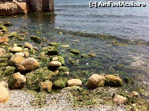 [P03] Plaja Agigea- in fatala Golful Pescarilor » foto by andraz
 - 
<span class="allrVoted glyphicon glyphicon-heart hidden" id="av643678"></span>
<a class="m-l-10 hidden" id="sv643678" onclick="voting_Foto_DelVot(,643678,22681)" role="button">șterge vot <span class="glyphicon glyphicon-remove"></span></a>
<a id="v9643678" class=" c-red"  onclick="voting_Foto_SetVot(643678)" role="button"><span class="glyphicon glyphicon-heart-empty"></span> <b>LIKE</b> = Votează poza</a> <img class="hidden"  id="f643678W9" src="/imagini/loader.gif" border="0" /><span class="AjErrMes hidden" id="e643678ErM"></span>