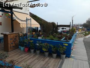 [P02] Pescăria lui Matei » foto by Mika
 - 
<span class="allrVoted glyphicon glyphicon-heart hidden" id="av1225225"></span>
<a class="m-l-10 hidden" id="sv1225225" onclick="voting_Foto_DelVot(,1225225,22681)" role="button">șterge vot <span class="glyphicon glyphicon-remove"></span></a>
<a id="v91225225" class=" c-red"  onclick="voting_Foto_SetVot(1225225)" role="button"><span class="glyphicon glyphicon-heart-empty"></span> <b>LIKE</b> = Votează poza</a> <img class="hidden"  id="f1225225W9" src="/imagini/loader.gif" border="0" /><span class="AjErrMes hidden" id="e1225225ErM"></span>