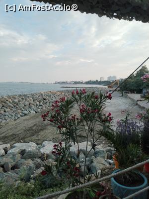[P07]  -- <small>// FĂRĂ DESCRIERE</small> » foto by vicgiant
 - 
<span class="allrVoted glyphicon glyphicon-heart hidden" id="av1372747"></span>
<a class="m-l-10 hidden" id="sv1372747" onclick="voting_Foto_DelVot(,1372747,22681)" role="button">șterge vot <span class="glyphicon glyphicon-remove"></span></a>
<a id="v91372747" class=" c-red"  onclick="voting_Foto_SetVot(1372747)" role="button"><span class="glyphicon glyphicon-heart-empty"></span> <b>LIKE</b> = Votează poza</a> <img class="hidden"  id="f1372747W9" src="/imagini/loader.gif" border="0" /><span class="AjErrMes hidden" id="e1372747ErM"></span>
