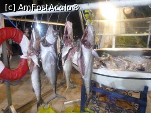 [P54] 54. Pește proaspăt expus pentru cina de la &bdquo;Sun Set&rdquo;, ce urmează să fie făcut pe grătar. » foto by doinafil
 - 
<span class="allrVoted glyphicon glyphicon-heart hidden" id="av1231605"></span>
<a class="m-l-10 hidden" id="sv1231605" onclick="voting_Foto_DelVot(,1231605,22688)" role="button">șterge vot <span class="glyphicon glyphicon-remove"></span></a>
<a id="v91231605" class=" c-red"  onclick="voting_Foto_SetVot(1231605)" role="button"><span class="glyphicon glyphicon-heart-empty"></span> <b>LIKE</b> = Votează poza</a> <img class="hidden"  id="f1231605W9" src="/imagini/loader.gif" border="0" /><span class="AjErrMes hidden" id="e1231605ErM"></span>