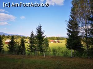 [P35] Parcul de Animale Sălbatice » foto by crismis
 - 
<span class="allrVoted glyphicon glyphicon-heart hidden" id="av1198650"></span>
<a class="m-l-10 hidden" id="sv1198650" onclick="voting_Foto_DelVot(,1198650,22695)" role="button">șterge vot <span class="glyphicon glyphicon-remove"></span></a>
<a id="v91198650" class=" c-red"  onclick="voting_Foto_SetVot(1198650)" role="button"><span class="glyphicon glyphicon-heart-empty"></span> <b>LIKE</b> = Votează poza</a> <img class="hidden"  id="f1198650W9" src="/imagini/loader.gif" border="0" /><span class="AjErrMes hidden" id="e1198650ErM"></span>