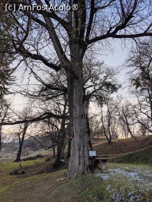 [P38] Arborele de ginkgo biloba » foto by crismis
 - 
<span class="allrVoted glyphicon glyphicon-heart hidden" id="av1479708"></span>
<a class="m-l-10 hidden" id="sv1479708" onclick="voting_Foto_DelVot(,1479708,22719)" role="button">șterge vot <span class="glyphicon glyphicon-remove"></span></a>
<a id="v91479708" class=" c-red"  onclick="voting_Foto_SetVot(1479708)" role="button"><span class="glyphicon glyphicon-heart-empty"></span> <b>LIKE</b> = Votează poza</a> <img class="hidden"  id="f1479708W9" src="/imagini/loader.gif" border="0" /><span class="AjErrMes hidden" id="e1479708ErM"></span>