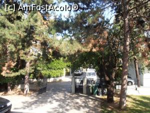 [P20] Vila Silia, prin curte » foto by sunflower
 - 
<span class="allrVoted glyphicon glyphicon-heart hidden" id="av904899"></span>
<a class="m-l-10 hidden" id="sv904899" onclick="voting_Foto_DelVot(,904899,22791)" role="button">șterge vot <span class="glyphicon glyphicon-remove"></span></a>
<a id="v9904899" class=" c-red"  onclick="voting_Foto_SetVot(904899)" role="button"><span class="glyphicon glyphicon-heart-empty"></span> <b>LIKE</b> = Votează poza</a> <img class="hidden"  id="f904899W9" src="/imagini/loader.gif" border="0" /><span class="AjErrMes hidden" id="e904899ErM"></span>