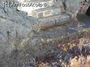 [P15] Garachico - Piscinele naturale “El Caletón”. » foto by iulianic
 - 
<span class="allrVoted glyphicon glyphicon-heart hidden" id="av1438637"></span>
<a class="m-l-10 hidden" id="sv1438637" onclick="voting_Foto_DelVot(,1438637,22792)" role="button">șterge vot <span class="glyphicon glyphicon-remove"></span></a>
<a id="v91438637" class=" c-red"  onclick="voting_Foto_SetVot(1438637)" role="button"><span class="glyphicon glyphicon-heart-empty"></span> <b>LIKE</b> = Votează poza</a> <img class="hidden"  id="f1438637W9" src="/imagini/loader.gif" border="0" /><span class="AjErrMes hidden" id="e1438637ErM"></span>