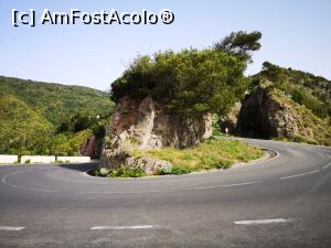 [P15] O serpentină în Parcul Rural Anaga » foto by crismis
 - 
<span class="allrVoted glyphicon glyphicon-heart hidden" id="av1162549"></span>
<a class="m-l-10 hidden" id="sv1162549" onclick="voting_Foto_DelVot(,1162549,22792)" role="button">șterge vot <span class="glyphicon glyphicon-remove"></span></a>
<a id="v91162549" class=" c-red"  onclick="voting_Foto_SetVot(1162549)" role="button"><span class="glyphicon glyphicon-heart-empty"></span> <b>LIKE</b> = Votează poza</a> <img class="hidden"  id="f1162549W9" src="/imagini/loader.gif" border="0" /><span class="AjErrMes hidden" id="e1162549ErM"></span>