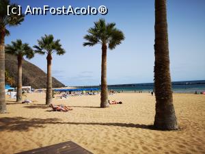 [P44] Playa de Las Teresitas » foto by crismis
 - 
<span class="allrVoted glyphicon glyphicon-heart hidden" id="av1162578"></span>
<a class="m-l-10 hidden" id="sv1162578" onclick="voting_Foto_DelVot(,1162578,22792)" role="button">șterge vot <span class="glyphicon glyphicon-remove"></span></a>
<a id="v91162578" class=" c-red"  onclick="voting_Foto_SetVot(1162578)" role="button"><span class="glyphicon glyphicon-heart-empty"></span> <b>LIKE</b> = Votează poza</a> <img class="hidden"  id="f1162578W9" src="/imagini/loader.gif" border="0" /><span class="AjErrMes hidden" id="e1162578ErM"></span>