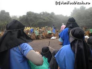 [P03] Camillo Center de la El Tanque » foto by didona_stelea
 - 
<span class="allrVoted glyphicon glyphicon-heart hidden" id="av544091"></span>
<a class="m-l-10 hidden" id="sv544091" onclick="voting_Foto_DelVot(,544091,22792)" role="button">șterge vot <span class="glyphicon glyphicon-remove"></span></a>
<a id="v9544091" class=" c-red"  onclick="voting_Foto_SetVot(544091)" role="button"><span class="glyphicon glyphicon-heart-empty"></span> <b>LIKE</b> = Votează poza</a> <img class="hidden"  id="f544091W9" src="/imagini/loader.gif" border="0" /><span class="AjErrMes hidden" id="e544091ErM"></span>