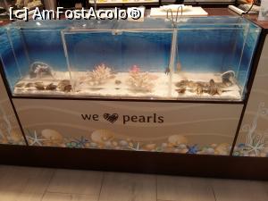 [P04] La Tenerife Pearls în Armenime. Acvariul de unde se puteau pescui stridii cu perle.  » foto by marsus
 - 
<span class="allrVoted glyphicon glyphicon-heart hidden" id="av905392"></span>
<a class="m-l-10 hidden" id="sv905392" onclick="voting_Foto_DelVot(,905392,22792)" role="button">șterge vot <span class="glyphicon glyphicon-remove"></span></a>
<a id="v9905392" class=" c-red"  onclick="voting_Foto_SetVot(905392)" role="button"><span class="glyphicon glyphicon-heart-empty"></span> <b>LIKE</b> = Votează poza</a> <img class="hidden"  id="f905392W9" src="/imagini/loader.gif" border="0" /><span class="AjErrMes hidden" id="e905392ErM"></span>