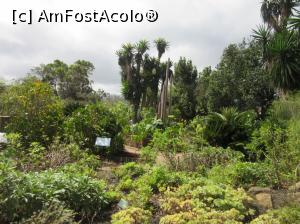 [P23] În grădină au fost adunate toate speciile de vegetaţie din parc » foto by Michi
 - 
<span class="allrVoted glyphicon glyphicon-heart hidden" id="av913310"></span>
<a class="m-l-10 hidden" id="sv913310" onclick="voting_Foto_DelVot(,913310,22792)" role="button">șterge vot <span class="glyphicon glyphicon-remove"></span></a>
<a id="v9913310" class=" c-red"  onclick="voting_Foto_SetVot(913310)" role="button"><span class="glyphicon glyphicon-heart-empty"></span> <b>LIKE</b> = Votează poza</a> <img class="hidden"  id="f913310W9" src="/imagini/loader.gif" border="0" /><span class="AjErrMes hidden" id="e913310ErM"></span>