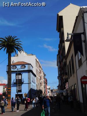 [P10] La pas pe Calle Obispo Rey Redondo în preajma Catedralei » foto by irinad
 - 
<span class="allrVoted glyphicon glyphicon-heart hidden" id="av1303825"></span>
<a class="m-l-10 hidden" id="sv1303825" onclick="voting_Foto_DelVot(,1303825,22792)" role="button">șterge vot <span class="glyphicon glyphicon-remove"></span></a>
<a id="v91303825" class=" c-red"  onclick="voting_Foto_SetVot(1303825)" role="button"><span class="glyphicon glyphicon-heart-empty"></span> <b>LIKE</b> = Votează poza</a> <img class="hidden"  id="f1303825W9" src="/imagini/loader.gif" border="0" /><span class="AjErrMes hidden" id="e1303825ErM"></span>