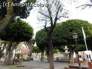 [P33] Plaza Adelantado » foto by irinad
 - 
<span class="allrVoted glyphicon glyphicon-heart hidden" id="av1303848"></span>
<a class="m-l-10 hidden" id="sv1303848" onclick="voting_Foto_DelVot(,1303848,22792)" role="button">șterge vot <span class="glyphicon glyphicon-remove"></span></a>
<a id="v91303848" class=" c-red"  onclick="voting_Foto_SetVot(1303848)" role="button"><span class="glyphicon glyphicon-heart-empty"></span> <b>LIKE</b> = Votează poza</a> <img class="hidden"  id="f1303848W9" src="/imagini/loader.gif" border="0" /><span class="AjErrMes hidden" id="e1303848ErM"></span>