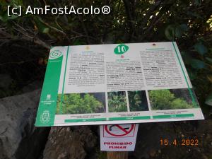 [P35] De la punctul 10 suntem avizaţi că poteca devine mai dificilă » foto by irinad
 - 
<span class="allrVoted glyphicon glyphicon-heart hidden" id="av1343062"></span>
<a class="m-l-10 hidden" id="sv1343062" onclick="voting_Foto_DelVot(,1343062,22792)" role="button">șterge vot <span class="glyphicon glyphicon-remove"></span></a>
<a id="v91343062" class=" c-red"  onclick="voting_Foto_SetVot(1343062)" role="button"><span class="glyphicon glyphicon-heart-empty"></span> <b>LIKE</b> = Votează poza</a> <img class="hidden"  id="f1343062W9" src="/imagini/loader.gif" border="0" /><span class="AjErrMes hidden" id="e1343062ErM"></span>