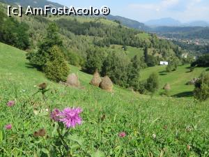 [P01] Zona Peștera - peisaj.  » foto by tata123 🔱
 - 
<span class="allrVoted glyphicon glyphicon-heart hidden" id="av802832"></span>
<a class="m-l-10 hidden" id="sv802832" onclick="voting_Foto_DelVot(,802832,22802)" role="button">șterge vot <span class="glyphicon glyphicon-remove"></span></a>
<a id="v9802832" class=" c-red"  onclick="voting_Foto_SetVot(802832)" role="button"><span class="glyphicon glyphicon-heart-empty"></span> <b>LIKE</b> = Votează poza</a> <img class="hidden"  id="f802832W9" src="/imagini/loader.gif" border="0" /><span class="AjErrMes hidden" id="e802832ErM"></span>