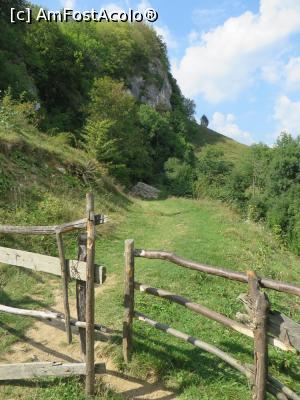 [P19] Martorul calcaros în care se află Peștera Liliecilor (localitatea Peștera).  » foto by tata123 🔱
 - 
<span class="allrVoted glyphicon glyphicon-heart hidden" id="av802851"></span>
<a class="m-l-10 hidden" id="sv802851" onclick="voting_Foto_DelVot(,802851,22802)" role="button">șterge vot <span class="glyphicon glyphicon-remove"></span></a>
<a id="v9802851" class=" c-red"  onclick="voting_Foto_SetVot(802851)" role="button"><span class="glyphicon glyphicon-heart-empty"></span> <b>LIKE</b> = Votează poza</a> <img class="hidden"  id="f802851W9" src="/imagini/loader.gif" border="0" /><span class="AjErrMes hidden" id="e802851ErM"></span>