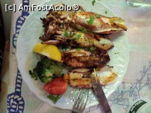 [P08] Taverna Ta Kimata - calamarii umpluți.  » foto by Carmen Ion
 - 
<span class="allrVoted glyphicon glyphicon-heart hidden" id="av938149"></span>
<a class="m-l-10 hidden" id="sv938149" onclick="voting_Foto_DelVot(,938149,22804)" role="button">șterge vot <span class="glyphicon glyphicon-remove"></span></a>
<a id="v9938149" class=" c-red"  onclick="voting_Foto_SetVot(938149)" role="button"><span class="glyphicon glyphicon-heart-empty"></span> <b>LIKE</b> = Votează poza</a> <img class="hidden"  id="f938149W9" src="/imagini/loader.gif" border="0" /><span class="AjErrMes hidden" id="e938149ErM"></span>