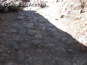[P10] piatra de rau pavaj » foto by adrianbogdan
 - 
<span class="allrVoted glyphicon glyphicon-heart hidden" id="av907035"></span>
<a class="m-l-10 hidden" id="sv907035" onclick="voting_Foto_DelVot(,907035,22808)" role="button">șterge vot <span class="glyphicon glyphicon-remove"></span></a>
<a id="v9907035" class=" c-red"  onclick="voting_Foto_SetVot(907035)" role="button"><span class="glyphicon glyphicon-heart-empty"></span> <b>LIKE</b> = Votează poza</a> <img class="hidden"  id="f907035W9" src="/imagini/loader.gif" border="0" /><span class="AjErrMes hidden" id="e907035ErM"></span>