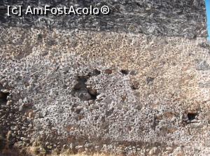 [P13] mai intai a fost asta, apoi decorativa » foto by adrianbogdan
 - 
<span class="allrVoted glyphicon glyphicon-heart hidden" id="av907038"></span>
<a class="m-l-10 hidden" id="sv907038" onclick="voting_Foto_DelVot(,907038,22808)" role="button">șterge vot <span class="glyphicon glyphicon-remove"></span></a>
<a id="v9907038" class=" c-red"  onclick="voting_Foto_SetVot(907038)" role="button"><span class="glyphicon glyphicon-heart-empty"></span> <b>LIKE</b> = Votează poza</a> <img class="hidden"  id="f907038W9" src="/imagini/loader.gif" border="0" /><span class="AjErrMes hidden" id="e907038ErM"></span>