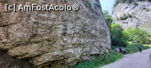 [P13] Prăpăstiile Zărneștilor, Prin Chei, Stânci golașe » foto by mprofeanu
 - 
<span class="allrVoted glyphicon glyphicon-heart hidden" id="av1381855"></span>
<a class="m-l-10 hidden" id="sv1381855" onclick="voting_Foto_DelVot(,1381855,22842)" role="button">șterge vot <span class="glyphicon glyphicon-remove"></span></a>
<a id="v91381855" class=" c-red"  onclick="voting_Foto_SetVot(1381855)" role="button"><span class="glyphicon glyphicon-heart-empty"></span> <b>LIKE</b> = Votează poza</a> <img class="hidden"  id="f1381855W9" src="/imagini/loader.gif" border="0" /><span class="AjErrMes hidden" id="e1381855ErM"></span>