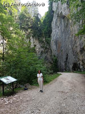 [P45] Prăpăstiile Zărneștilor, Panou Informativ despre Chei și Piatra Craiului » foto by mprofeanu
 - 
<span class="allrVoted glyphicon glyphicon-heart hidden" id="av1381887"></span>
<a class="m-l-10 hidden" id="sv1381887" onclick="voting_Foto_DelVot(,1381887,22842)" role="button">șterge vot <span class="glyphicon glyphicon-remove"></span></a>
<a id="v91381887" class=" c-red"  onclick="voting_Foto_SetVot(1381887)" role="button"><span class="glyphicon glyphicon-heart-empty"></span> <b>LIKE</b> = Votează poza</a> <img class="hidden"  id="f1381887W9" src="/imagini/loader.gif" border="0" /><span class="AjErrMes hidden" id="e1381887ErM"></span>
