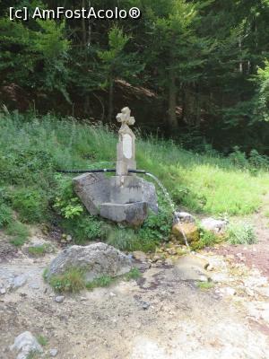 [P22] Izvorul „Fântâna lui Botorog” - punct de hidratare și star în drumeția pe Cheile Zărneștiului.  » foto by tata123 🔱
 - 
<span class="allrVoted glyphicon glyphicon-heart hidden" id="av789463"></span>
<a class="m-l-10 hidden" id="sv789463" onclick="voting_Foto_DelVot(,789463,22842)" role="button">șterge vot <span class="glyphicon glyphicon-remove"></span></a>
<a id="v9789463" class=" c-red"  onclick="voting_Foto_SetVot(789463)" role="button"><span class="glyphicon glyphicon-heart-empty"></span> <b>LIKE</b> = Votează poza</a> <img class="hidden"  id="f789463W9" src="/imagini/loader.gif" border="0" /><span class="AjErrMes hidden" id="e789463ErM"></span>