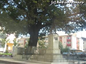 [P09] Monumentul eroilor panceni din Primul Razboi Mondial » foto by dorgo
 - 
<span class="allrVoted glyphicon glyphicon-heart hidden" id="av559906"></span>
<a class="m-l-10 hidden" id="sv559906" onclick="voting_Foto_DelVot(,559906,22874)" role="button">șterge vot <span class="glyphicon glyphicon-remove"></span></a>
<a id="v9559906" class=" c-red"  onclick="voting_Foto_SetVot(559906)" role="button"><span class="glyphicon glyphicon-heart-empty"></span> <b>LIKE</b> = Votează poza</a> <img class="hidden"  id="f559906W9" src="/imagini/loader.gif" border="0" /><span class="AjErrMes hidden" id="e559906ErM"></span>