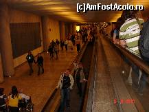 [P32] în drum spre avion în aeroportul din Palma de Mallorca » foto by baby eyes
 - 
<span class="allrVoted glyphicon glyphicon-heart hidden" id="av420031"></span>
<a class="m-l-10 hidden" id="sv420031" onclick="voting_Foto_DelVot(,420031,22906)" role="button">șterge vot <span class="glyphicon glyphicon-remove"></span></a>
<a id="v9420031" class=" c-red"  onclick="voting_Foto_SetVot(420031)" role="button"><span class="glyphicon glyphicon-heart-empty"></span> <b>LIKE</b> = Votează poza</a> <img class="hidden"  id="f420031W9" src="/imagini/loader.gif" border="0" /><span class="AjErrMes hidden" id="e420031ErM"></span>