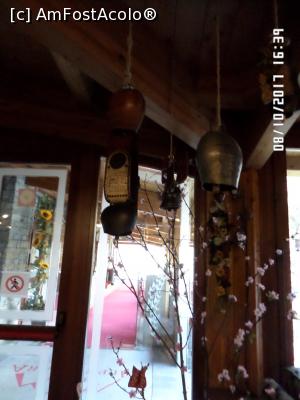 [P28] Fiecare detaliu are menirea să te încânte » foto by Alina53
 - 
<span class="allrVoted glyphicon glyphicon-heart hidden" id="av914309"></span>
<a class="m-l-10 hidden" id="sv914309" onclick="voting_Foto_DelVot(,914309,22914)" role="button">șterge vot <span class="glyphicon glyphicon-remove"></span></a>
<a id="v9914309" class=" c-red"  onclick="voting_Foto_SetVot(914309)" role="button"><span class="glyphicon glyphicon-heart-empty"></span> <b>LIKE</b> = Votează poza</a> <img class="hidden"  id="f914309W9" src="/imagini/loader.gif" border="0" /><span class="AjErrMes hidden" id="e914309ErM"></span>